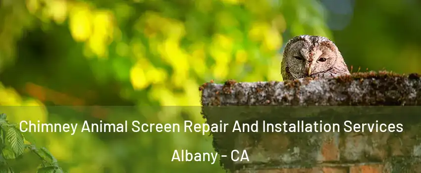  Chimney Animal Screen Repair And Installation Services Albany - CA