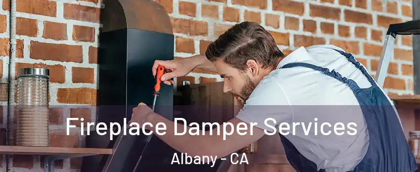  Fireplace Damper Services Albany - CA