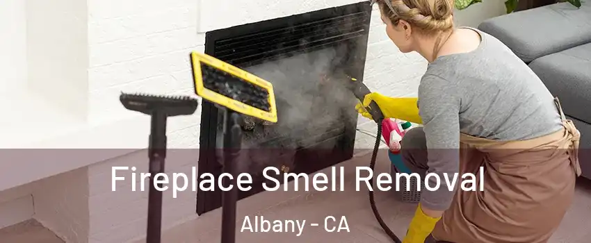  Fireplace Smell Removal Albany - CA