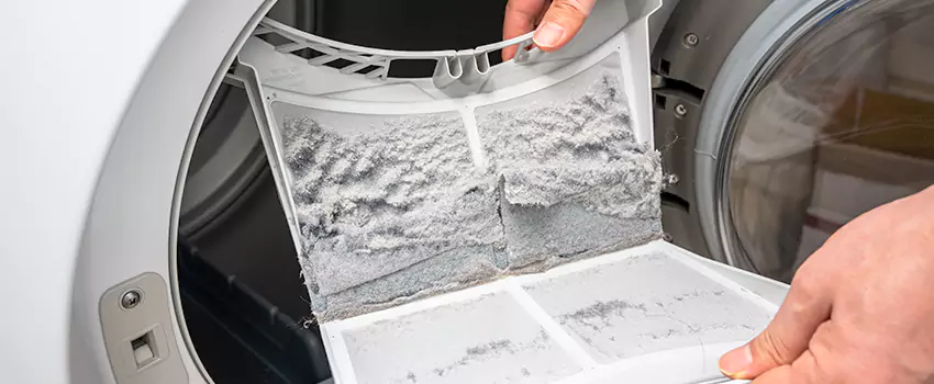 Best Dryer Lint Removal Company in Albany, California