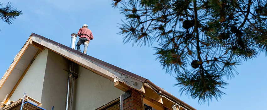 Birds Removal Contractors from Chimney in Albany, CA