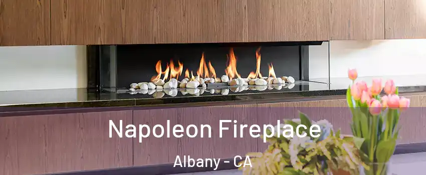  Napoleon Fireplace Albany - CA
